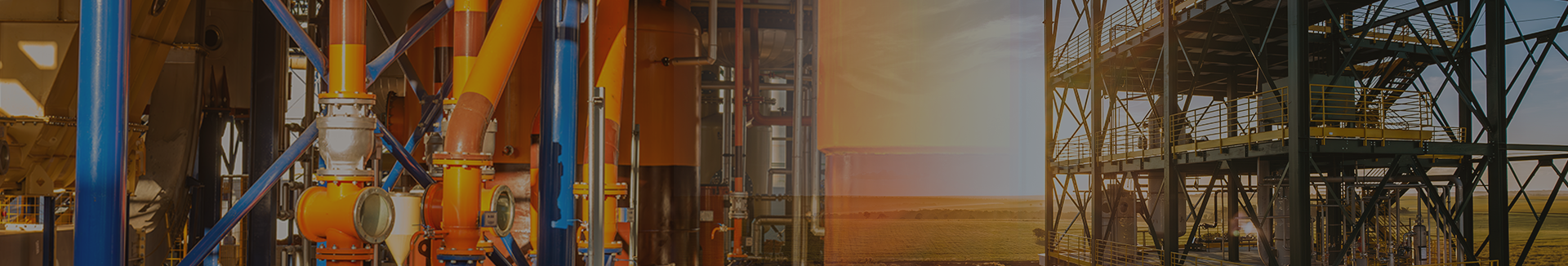 Ferro Oiltek oilseed processing plant
